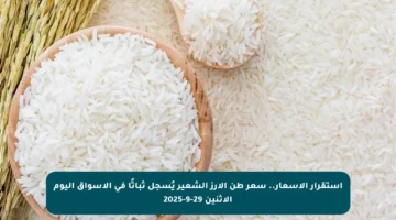 استقرار الأسعار.. سعر طن الأرز الشعير يُسجل ثباتًا في الأسواق اليوم الاثنين 29-9-2025